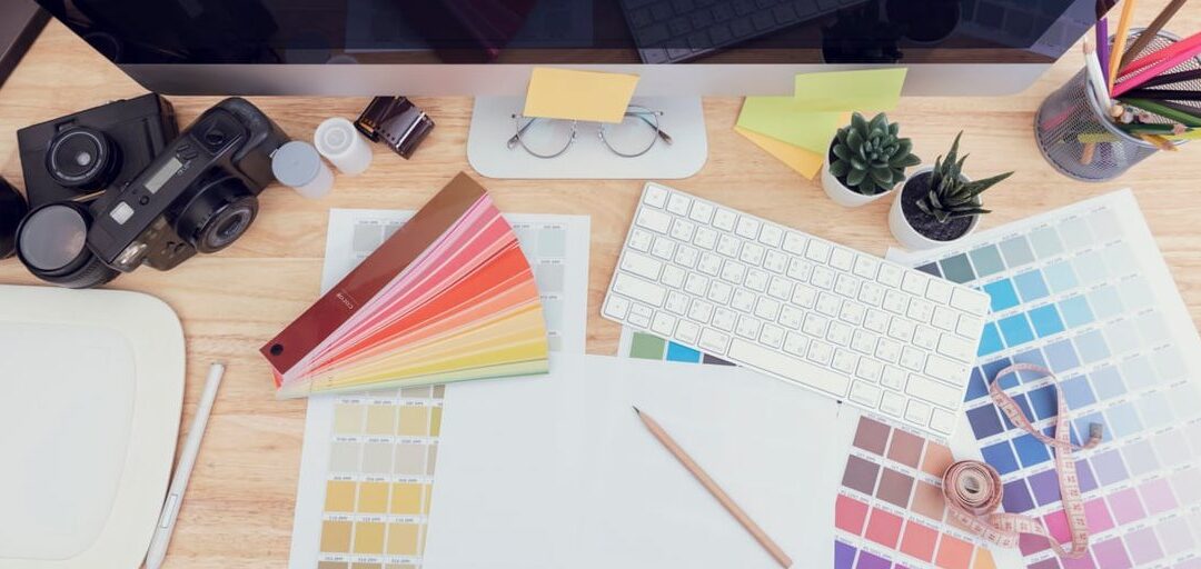 How to Photograph Black Cats: Camera Settings and Lighting Tips